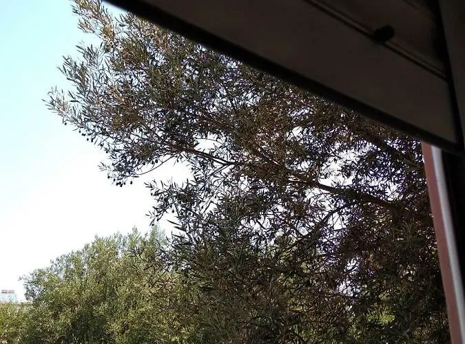 Nikitas Dom wakacyjny Miasto Kos